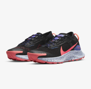 Nike Gore-Tex schoenen Trail pegasus