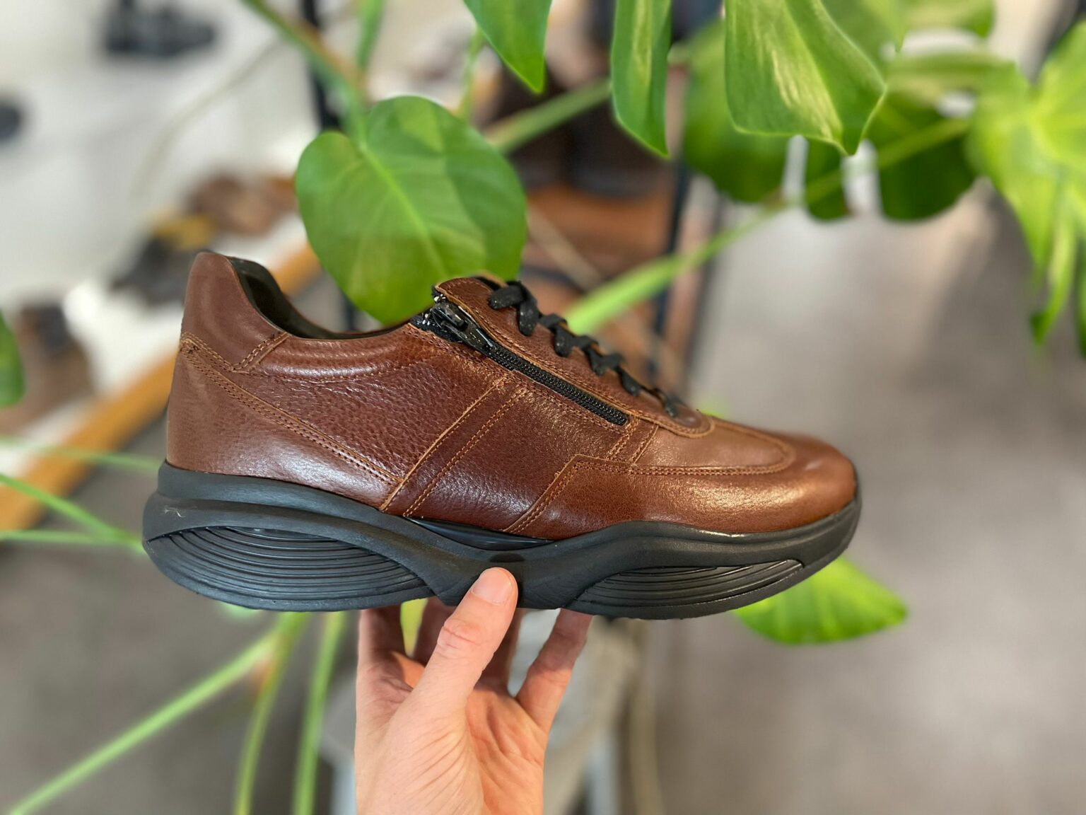 DANCEYOU Karakter Schoenen Zwarte Lage Hak Canvas Dansschoenen voor Vrouwen Meisjes Dans Ballet Praktijk Test, Zwart, 38 EU